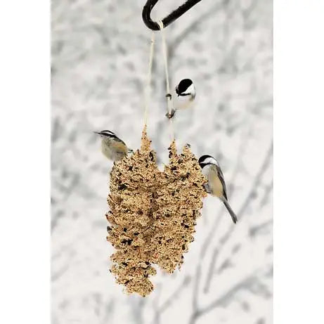 Mr Bird - Pine Cone Pair