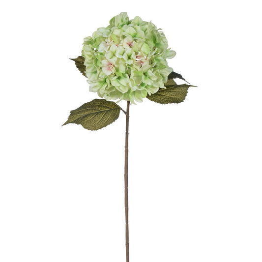 Green Hydrangea Stem with 9" Flower Head